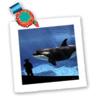 qs_46398_3 VWPics Whales and Dolphins   This young man (MR) is getting a close look at one of killer whales, Orcinus orca   Quilt Squares   8x8 inch quilt square