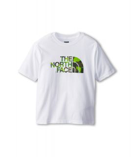 The North Face Kids S/S Half Dome Tee Boys T Shirt (Taupe)