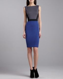 Womens Milano Sleeveless Colorblock Dress, Caviar/Pewter/Blue   St. John
