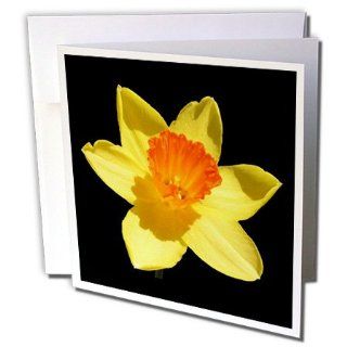 gc_21388_1 Taiche Photography   Flowers Daffodil   Greeting Cards 6 Greeting Cards with envelopes 