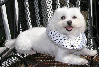 Puppy Bumper   Keep Your Dog on the Safe Side of the Fence  Black & White Paw  up to 10"  Pet Collars 