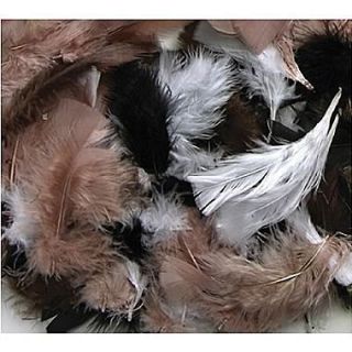 Chenille Craft Natural Colors Feathers, 125 Pieces