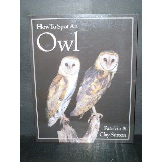 How to Spot an Owl Patricia Taylor Sutton, Clay Sutton 9780618012206 Books