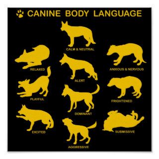 Canine Body Language Print