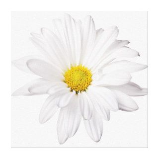 White Daisy Flower Background Customized Daisies Gallery Wrapped Canvas