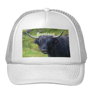 Black Highland Cow Mesh Hat