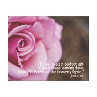 Pink Rose on Canvas Scripture James 117 10" x 8" Gallery Wrap Canvas