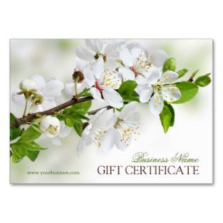 Blank Spring Gift Certificate With Blossom Business Card Template