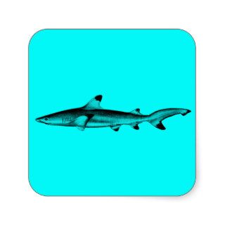 Vintage Reef Shark Illustration Neon Teal Blue Square Stickers
