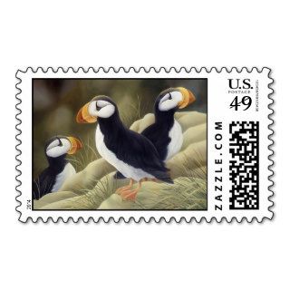 Puffins Postage Stamps