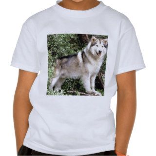 Dog Hugabear Alaskan Malamute Shirts