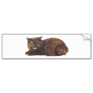Manx Tortoiseshell Cymric Cat Bumper Stickers
