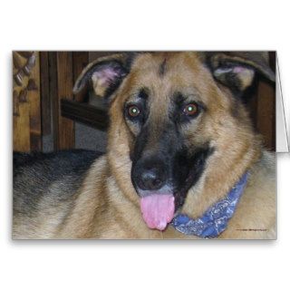German Shepherd Bandana   Ranch Dog Lover Blank Card