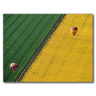 USA, Arizona, Val Vista. Hot air balloons soar Post Card