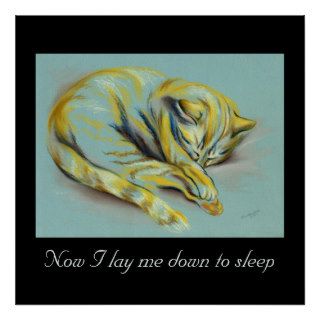 Cat Pastel   Sleeping Kitten Child's Room Decor Posters