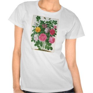 Vintage Blooming Flowers, Spring Garden Roses Tee Shirt