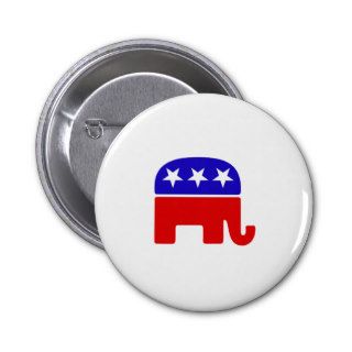 Create your own Political Pins