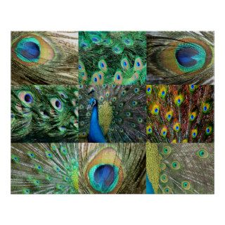 Green Blue Peacock photo collage Posters