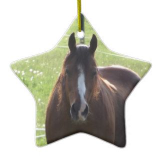 Serenity Horse Ornament