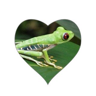 Cute Red Eyed Tree Frog Heart Stickers