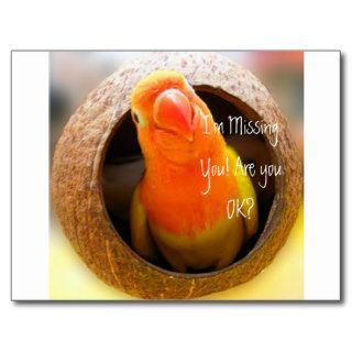 I'm Missing You. Are you OK? by Lovebird Postcards