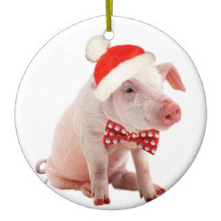 Pot Belly Pigs Christmas Ornament