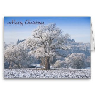 Oak Tree in Frost Christmas Card
