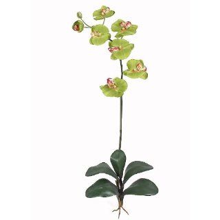 Nearly Natural 2044 GR Phalaenopsis Silk Orchid Flower with Leaves Green 6 Stems   Artificial Mixed Flower Arrangements