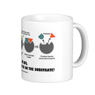 In Life, Are You The Enzyme Or The Substrate? Mug