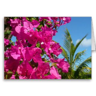 Bougainvillea and Palm Tree Card