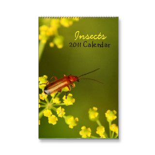 Insects 2011 Calendar