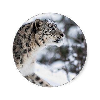 Snow Leopard Profile Stickers