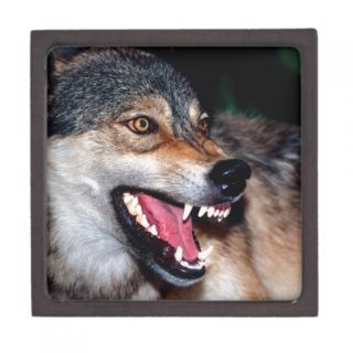 Wolf Snarling Premium Jewelry Box