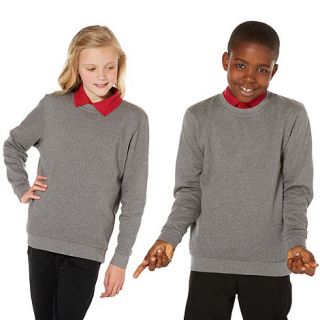 Unisex grey school uniform crew neck sweater