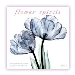 Flower Spirits 2012 (Calendar) General Gardening