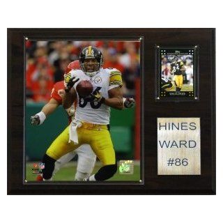 Pittsburgh Steelers Hines Ward 12"x15" Player Plaque  Sports Related Plaques  Sports & Outdoors