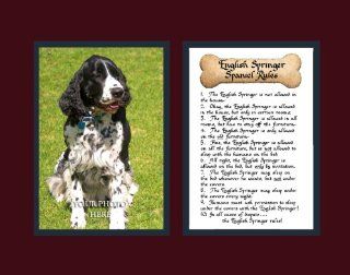 Dog Rules English Springer Spaniel Wall Decor Pet Saying Dog Saying   Decorative Plaques