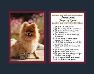 Pomeranian Property Laws Wall Decor Pet Saying Dog Saying Pomeranian Saying   Decorative Plaques