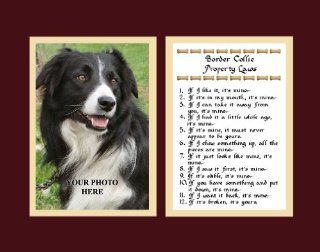 Border Collie Property Laws Wall Decor Pet Dog Saying Humorous Gift   Decorative Plaques