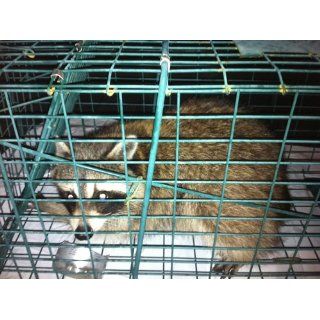 Pet Trex Green Live Animal or Pet Trap Humane Catch & Release Trap  Rodent Traps  Patio, Lawn & Garden