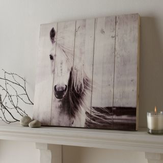 Graham & Brown Summer 2015 Horse Photographic Print on Wood