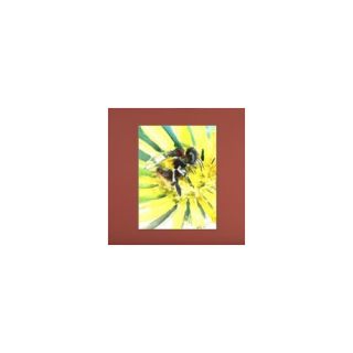 Americanflat Flower Bee 3 Painting Print