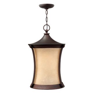 Thistledown 1 Light Outdoor Hanging Lantern by Hinkley Lighting