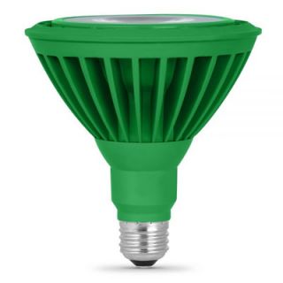 8W Green 120 Volt LED Light Bulb by FeitElectric