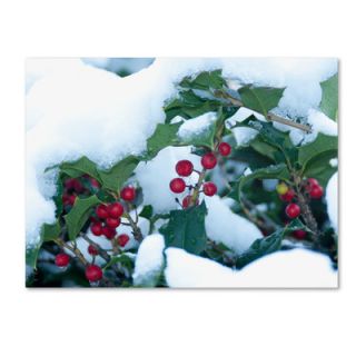 Holly in the Snow by Kurt Shaffer Photographic Print Gallery Wrapped