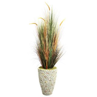 Laura Ashley Home Tall Onion Grass in Round Tapered Fiberstone Pot