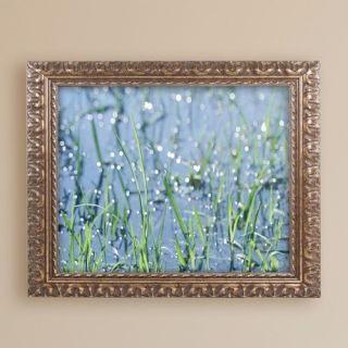 After the Rain by Beata Czyzowska Young Framed Photographic Print by