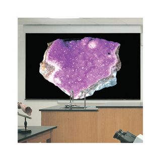 Silhouette/Series E Matt White Electric Projection Screen with Low