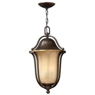 Bolla 3 Light Outdoor Hanging Lantern by Hinkley Lighting