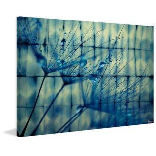 ParvezTaj Dandelion Dew Photographic Print on Wrapped Canvas